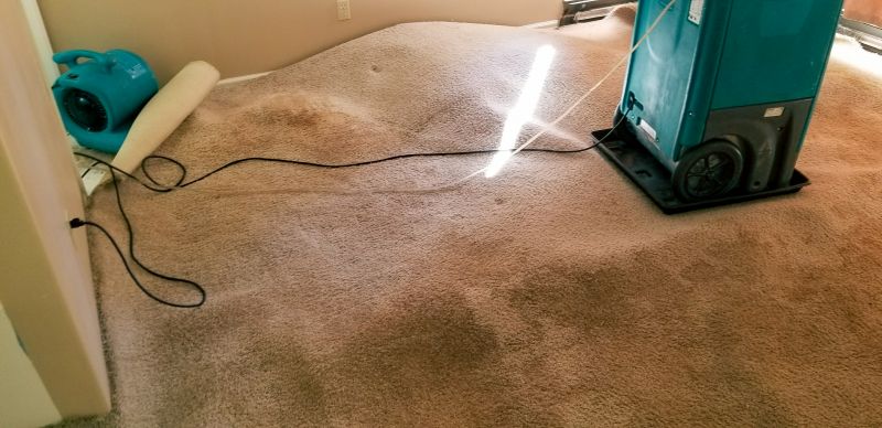 wet carpet restoration and cleaning