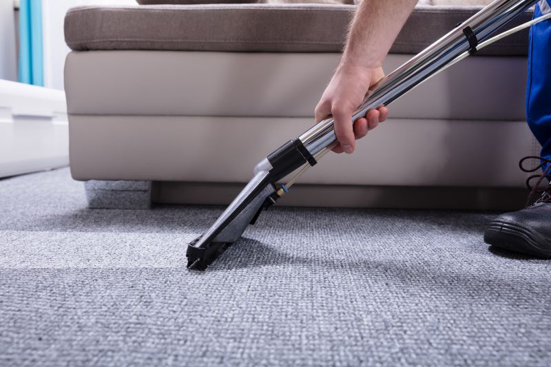 Carpet Cleaning Vs Rug Cleaning: What’s The Difference?