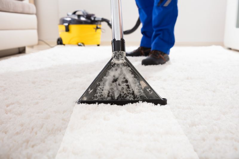 How Often Carpets Should Be Professionally Cleaned