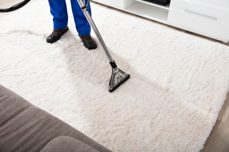 How Professional Carpet Cleaning Improves Indoor Air Quality