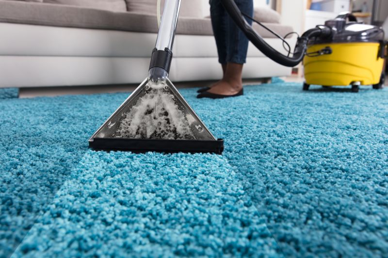 Removing Stains And Odors From Carpets And Rugs