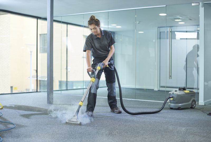 Steam Cleaning Vs Dry Carpet Cleaning Explained